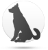 Hund