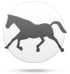 Pferd